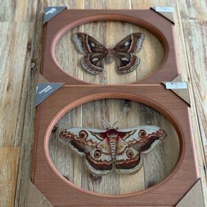 Wooden Framed Butterfly Moth on Glass Wall Art NWT Set of Two